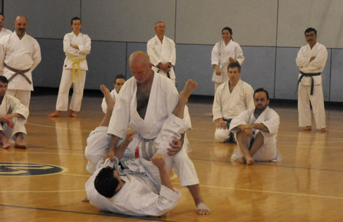 Sensei Kananis seminar in Portland Oregon, Vancouver Washington, October 2011